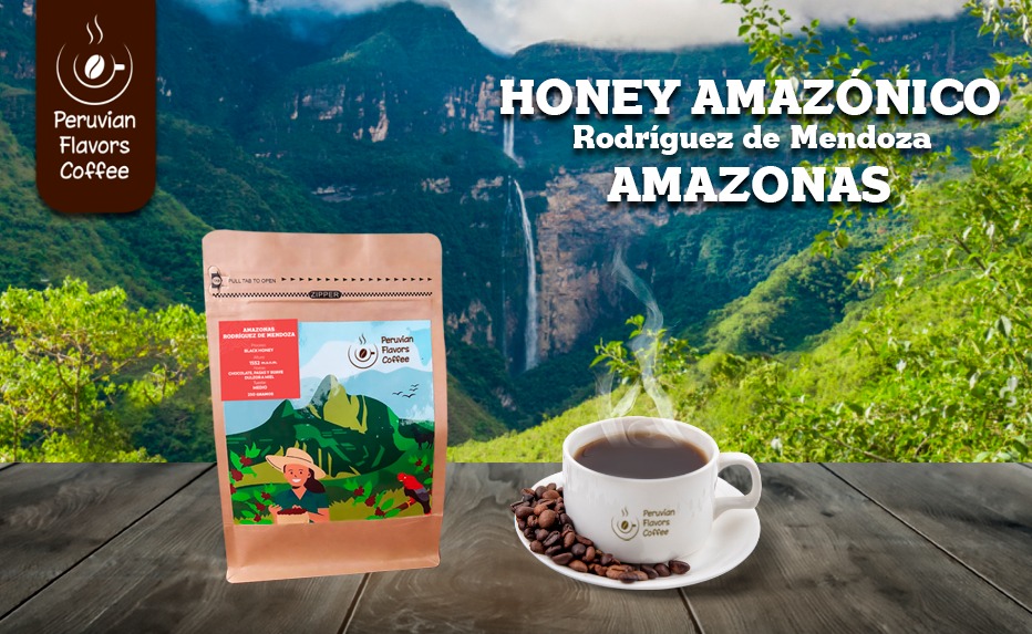 Región cafetalera de Amazonas, Perú